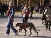 Vuelve el frío a la Ciudad: cuándo llegará y qué temperatura se espera para la semana