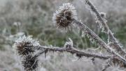 Cuando el aire se cristaliza: qué es la niebla engelante y por qué es tan peligrosa