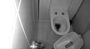 Pesadilla en el baño: Hombre escuchó un ruido y lo que vio saliendo de su poceta lo dejó sin palabras