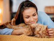 Por qué muchas personas disfrutan de acariciar a los gatos, según la psicología