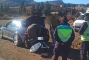 Detienen a dos jóvenes de Neuquén con cocaína y marihuana en Dina Huapi: investigan si iban a Bariloche