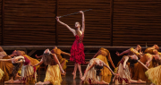 San Juan recibirá al Ballet Estable del Teatro Colón, quienes presentarán “Carmen” de la mano de Julio Bocca