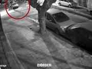 Viudas negras en Ciudadela: los detalles de la autopsia al joven de 19 años que murió tras un ataque