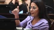 Si vetan las leyes de jubilados y personas con discapacidad vamos a insistir