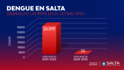 En Salta los casos de dengue disminuyeron un 99,9% en el último año