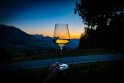 Astrología y enología: cuál es el vino más adecuado a cada signo