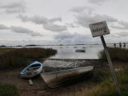 Cómo detectar si una playa tiene aguas contaminadas antes de meterte