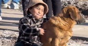 Video: una tierna postal en medio de una inauguración en San Martín