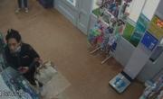 VIDEO.- Sin ruborizarse: así una mechera trans robó en una farmacia de La Plata hasta lo que había de muestra