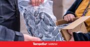 Mejillones de cultivo fueguinos: en lo que resta del año se exportarán entre 600 y 800 toneladas