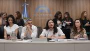 Diputados le pone límites a los discursos de odio del Gobierno