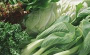 ¿Cómo conservar las verduras de hojas verdes en la heladera?