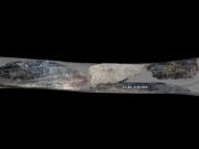 Descubren una navaja neandertal de hace 130.000 años en una cueva belga