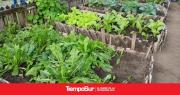 El Gobierno impulsa la capacitación en producción agropecuaria en las cárceles