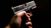 El Gobierno implementó un trámite digital para ser legítimo usuario de armas de fuego