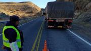 Un camión varado cortó el tránsito en la ruta 40 a la altura de La Rinconada