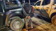 Lo atraparon en una pelea y era el mismo que había disparado en el robo a una despensa de Bariloche