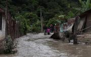 Fedeagro: Al menos 150 hectáreas destruidas por las lluvias en la región andina – Correo del Caroní