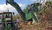 Falta de diésel complica la zafra: sector necesita 60 millones de litros