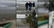 Video: atraparon en Punta Lara a un delincuente prófugo por homicidio que intentó huir por el río