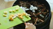 Asuntos de plantas: cómo hacer una compostera pequeña en casa para poner en el balcón