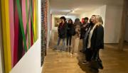 Salta celebra los 10 años de Bienalsur con arte sin fronteras