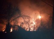 Evitemos los incendios