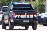 Insólito: Sustrajeron un burro y un chancho desde una granja en La Banda