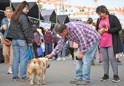 Vuelve la feria más grande de Neuquén: un listado lo que podes hacer, con infancias y mascotas