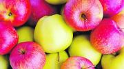 Comer manzanas podría ayudar a controlar la presión arterial, según los expertos