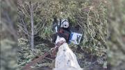 Nol, el perro de la Policía que siguió el rastro de unos delincuentes y recuperó una moto