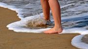 Vibrio vulnificus: La bacteria carnívora que mató a cuatro bañistas en EEUU