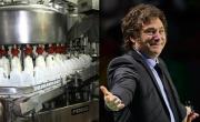 Los notificaron por Zoom: 200 despidos en una histórica fábrica láctea en medio de la crisis de Milei
