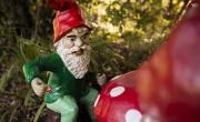 Cómo pedirle a los duendes que te devuelvan algo robado