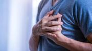 Aterosclerosis: descubren que una molécula de bacterias intestinales puede causar la enfermedad