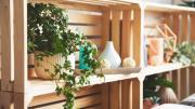 ¿Una biblioteca con cajones de verdulería? La guía para reutilizarlos y decorar tu hogar con estilo