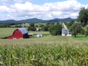 Estados Unidos: Presentaciones de bancarrota se disparan a medida que los agricultores se enfrentan a la inflación y las redadas de Inmigración