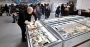 La Plata ya tiene su propio Mercado Bonaerense con precios populares y descuentos con Cuenta DNI