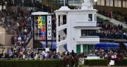 Milonga, cultura y visitas guiadas: el programa del Hipódromo de La Plata para el fin de semana