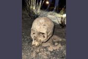 El esqueleto humano será analizado por antropólogos y podrían extraer ADN