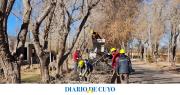 Operativos de poda en Calingasta