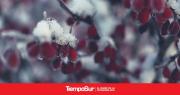 Temporal invernal azota Río Gallegos: Frío intenso y fuertes probabilidades de lluvia