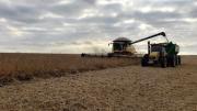 Falta de rentabilidad en el agro: “Cada vez somos menos productores los que quedamos en la carrera”