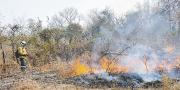 Bolivia registra 45 incendios activos y el plan de prevención está en marcha