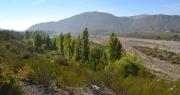 Pedernal muestra su historia en un encuentro cultural y ambiental para toda la familia