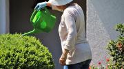 Con este consejo podrás proteger a tus plantas de las plagas de invierno