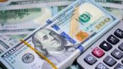 “Los depósitos en dólares totales aumentaron 2.633 millones de dólares”, afirmó una economista
