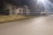 Hallaron otro cable sobre árboles luego de que un motociclista muriera degollado