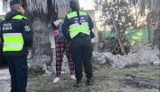 Operativo antidrogas en Cerrillos: decomisan gran cantidad de dosis de marihuana