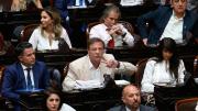 Oscar Zago prendió la alarma en el Congreso: “Hoy Milei no tiene los votos para sostener un veto”